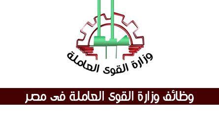 وزارة القوى العاملة تعلن عن 4246 فرصة عمل للشباب بالمحافظات بالنشرة القومية للتشغيل شهر ديسمبر 2019