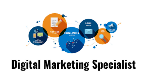 A professional digital marketing specialist