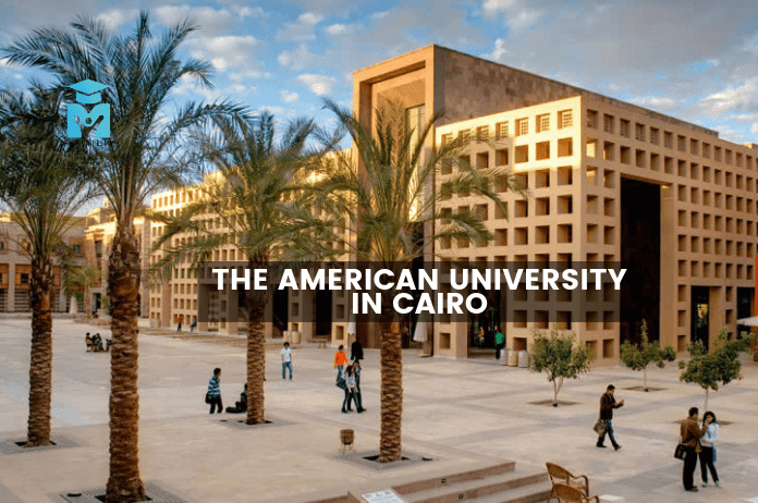 The American University in Cairo تطلب Accountant