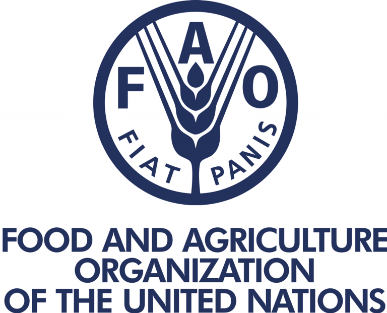 FAO تطلب Procurement Assistant