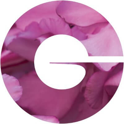 Givaudan  طالبين مدير تسويق