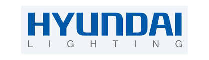 HYUNDAI Lighting بالجيزة طالبين مدير تنفيذي بقسم المبيعات الفنية