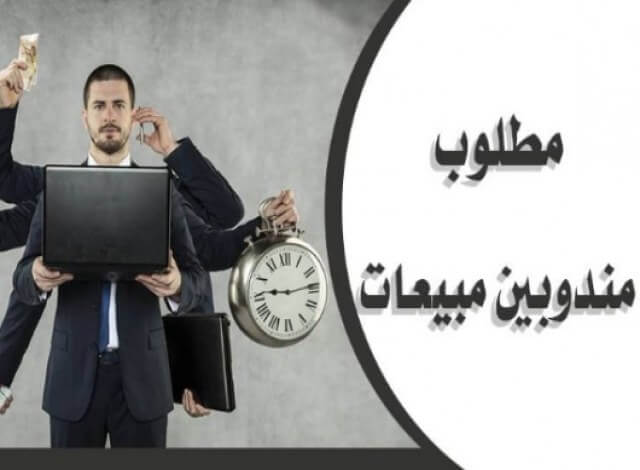 مندوب/مندوبة مبيعات كبار العملاء - سموحة - الاسكندرية 