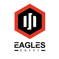 Eagles Egypt طالبين Senior Accountant
