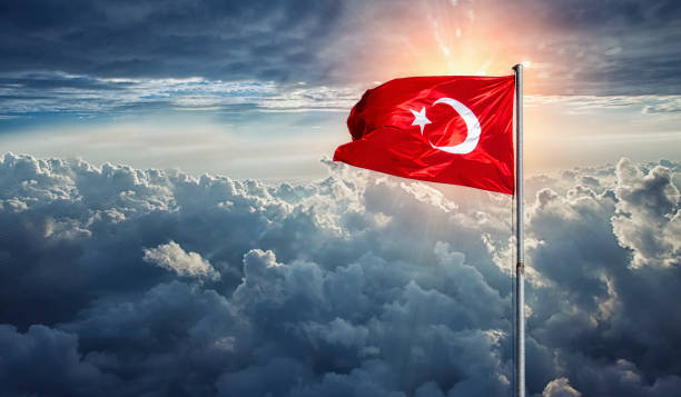 فرصة عمل لدى ZoomIn في تركيا: منسق البرامج