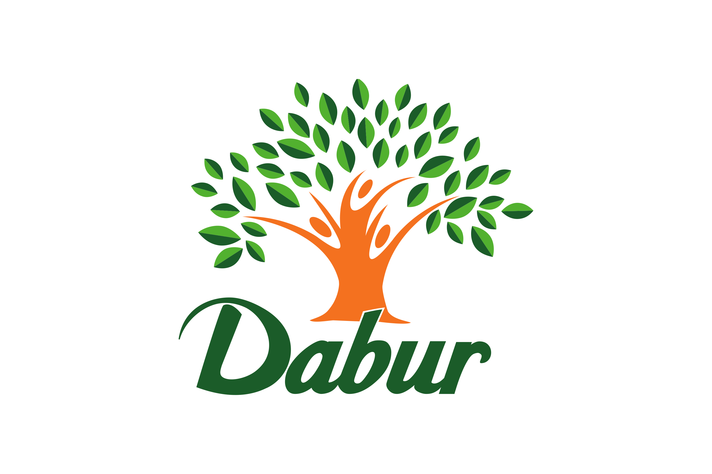 Dabur Egypt wants Compensation & Benefits Sr. Associate HR Manager