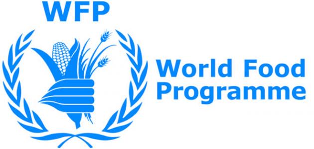 World Food Programme needs Programme Assistant (Social Protection) , SC4