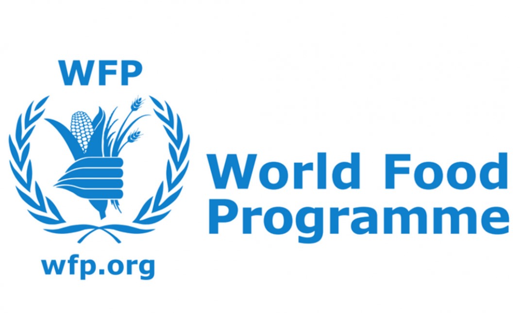  WFP wants Budgeting Accounting Consultant