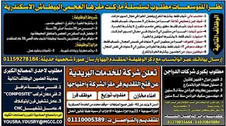 وظائف جريدة الوسيط للمؤهلات العليا والدبلومات ولخريجي هندسة وتجارة وحقوق وعلوم وتربية وأداب وعمال وسائقين بتاريخ الجمعة 20-6-2025