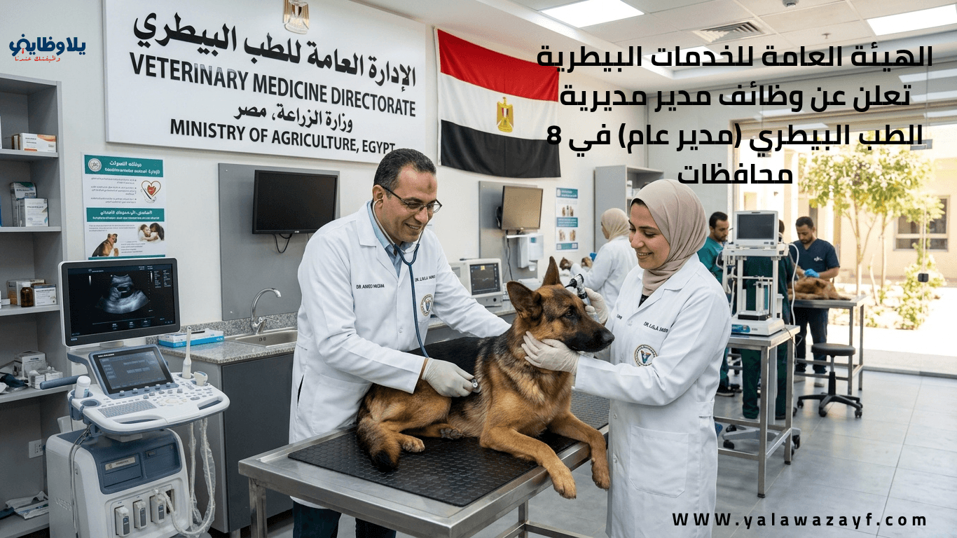 الهيئة العامة للخدمات البيطرية تعلن عن وظائف مدير مديرية الطب البيطري (مدير عام) في 8 محافظات